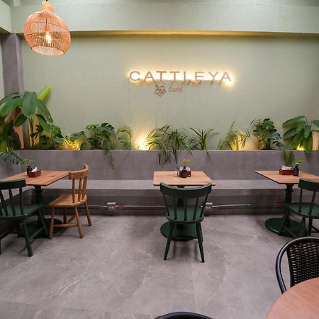 Apartamentos Housy Laureles Медельин Экстерьер фото